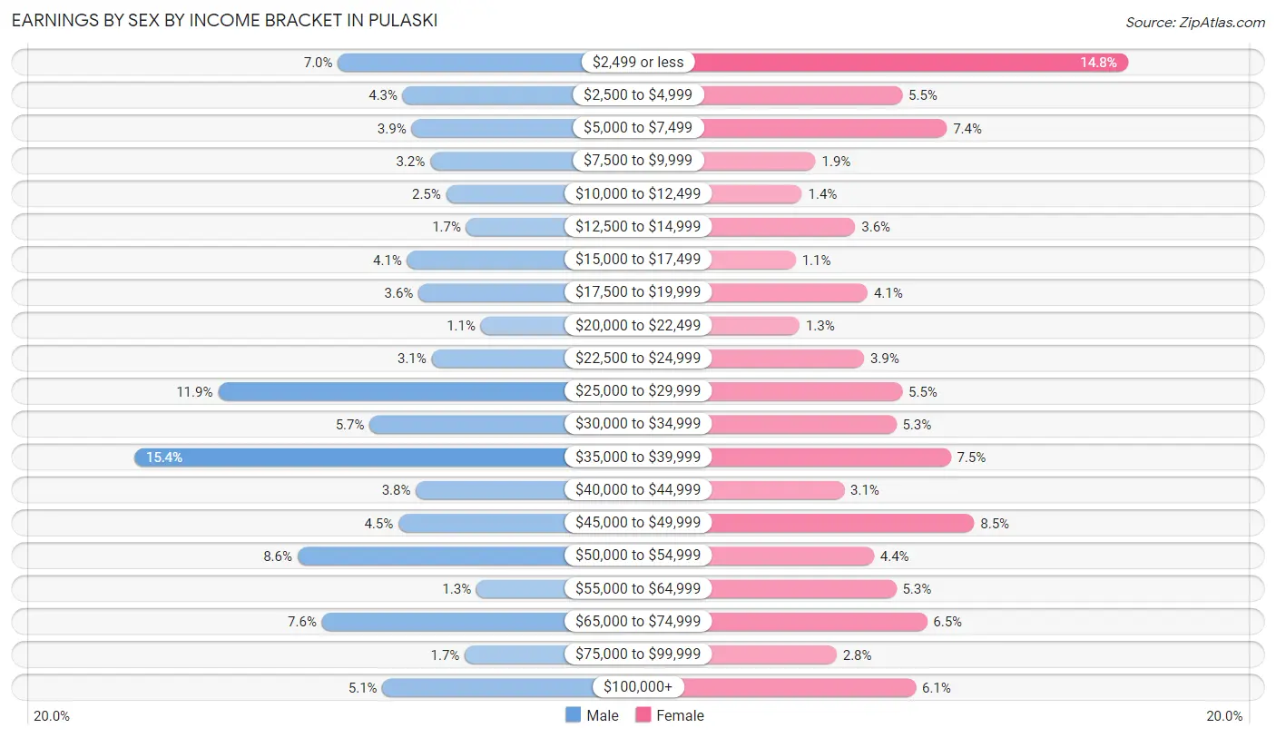 Earnings by Sex by Income Bracket in Pulaski