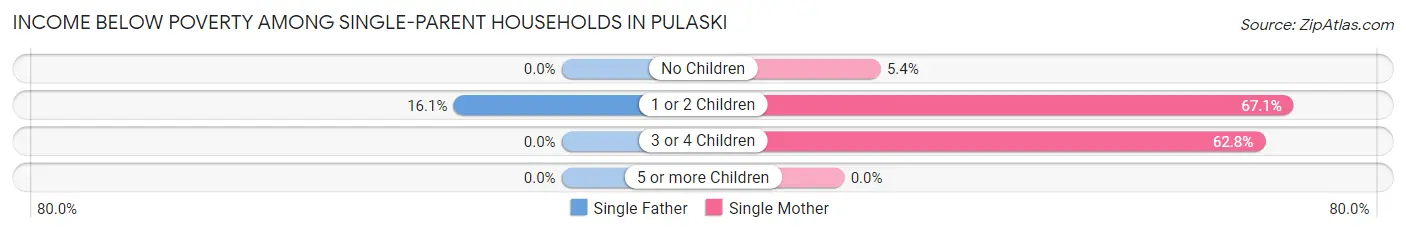 Income Below Poverty Among Single-Parent Households in Pulaski