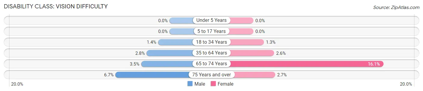 Disability in Pulaski: <span>Vision Difficulty</span>