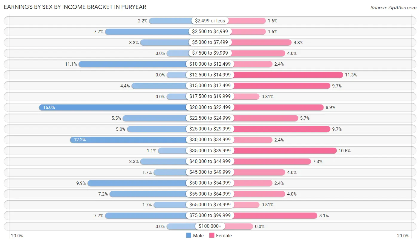 Earnings by Sex by Income Bracket in Puryear