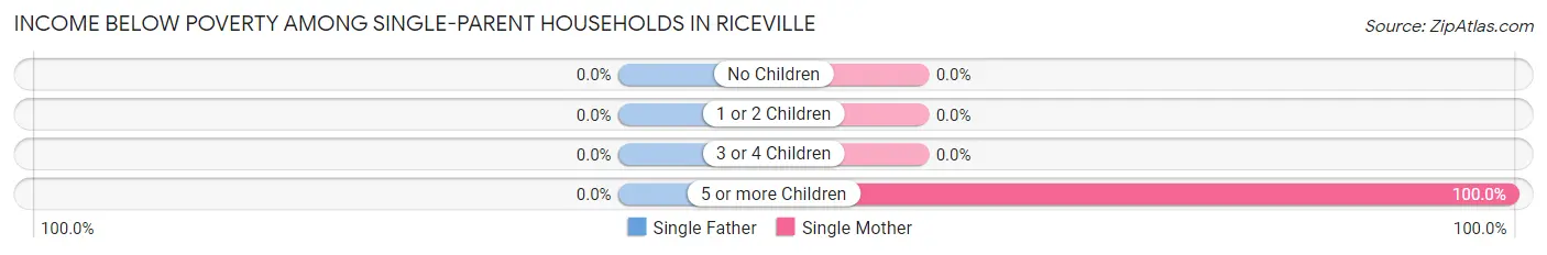 Income Below Poverty Among Single-Parent Households in Riceville