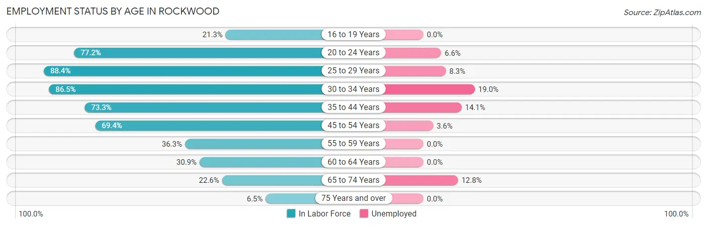 Employment Status by Age in Rockwood