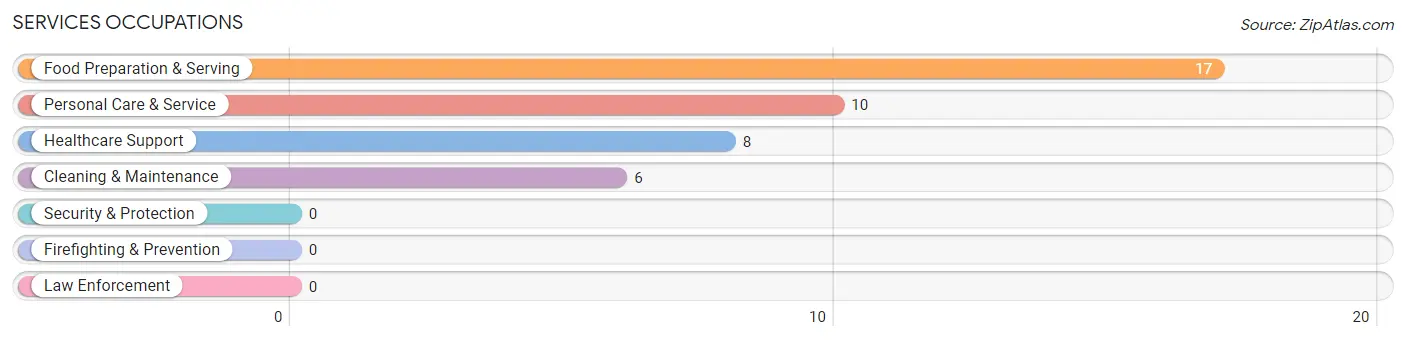 Services Occupations in Rocky Top