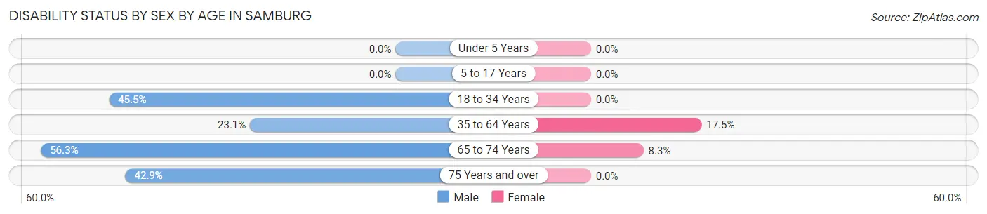 Disability Status by Sex by Age in Samburg