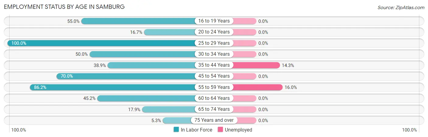 Employment Status by Age in Samburg