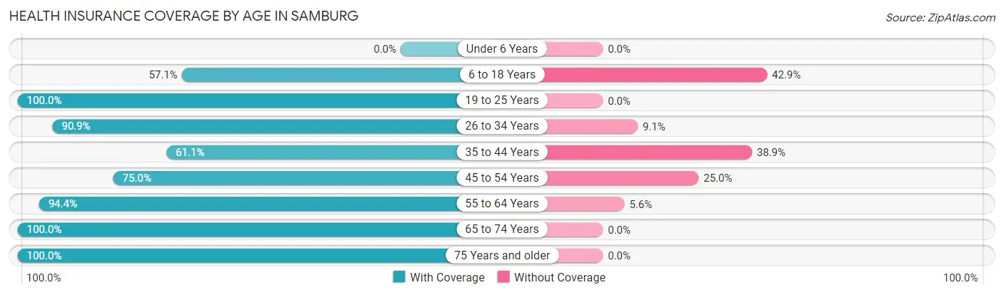 Health Insurance Coverage by Age in Samburg