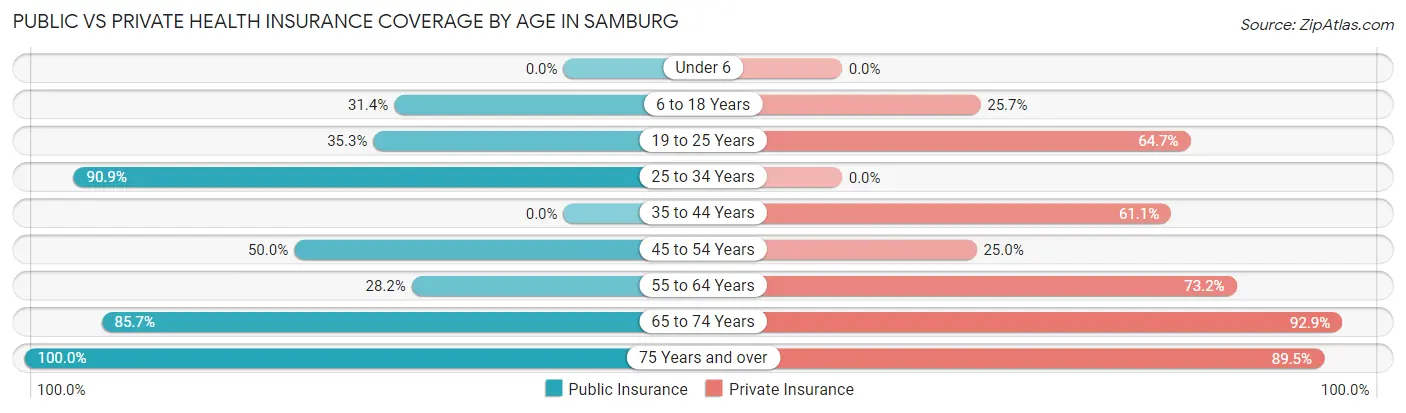 Public vs Private Health Insurance Coverage by Age in Samburg