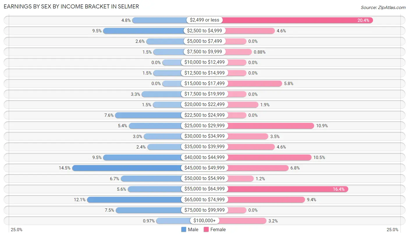 Earnings by Sex by Income Bracket in Selmer