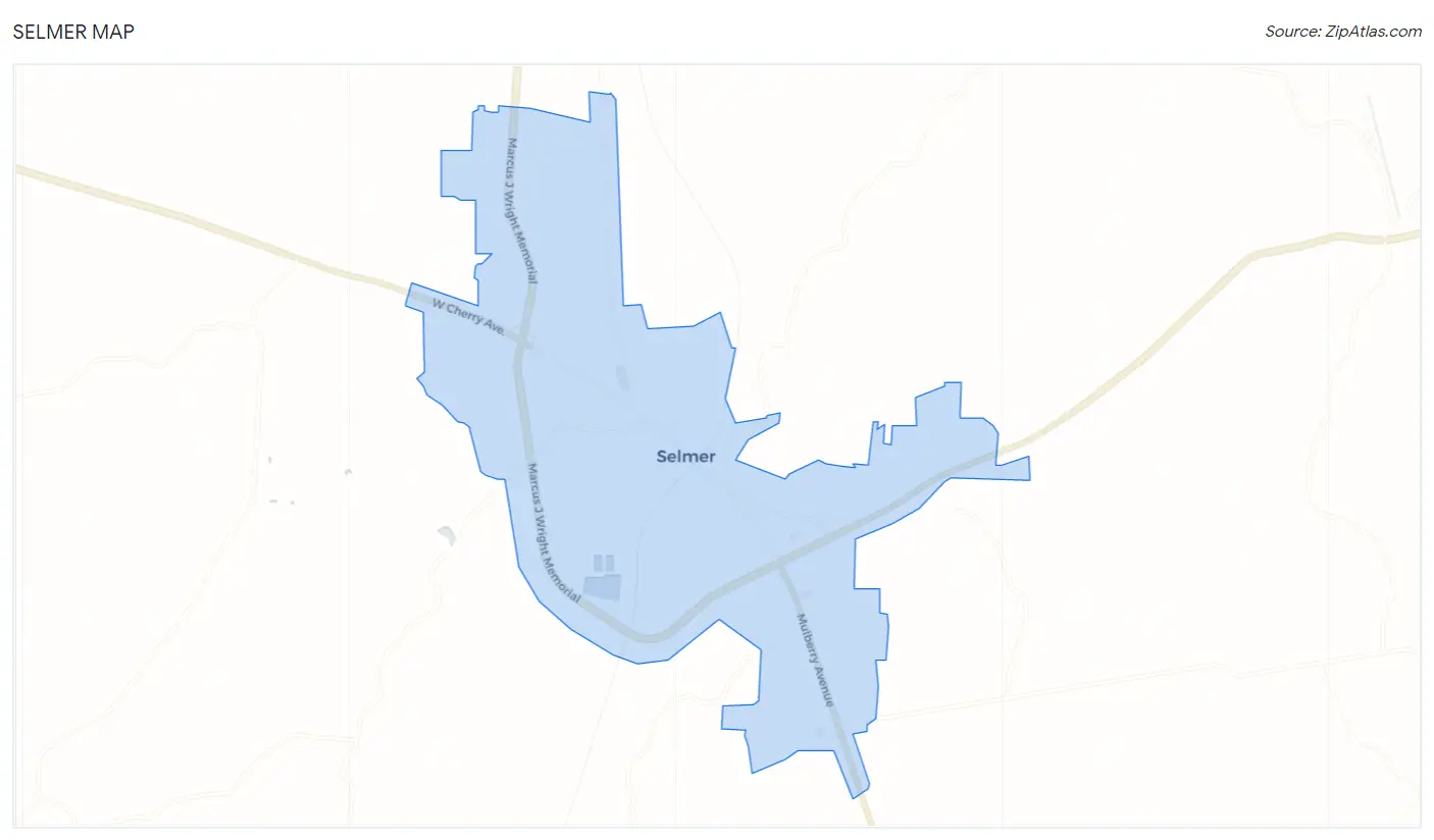 Selmer Map