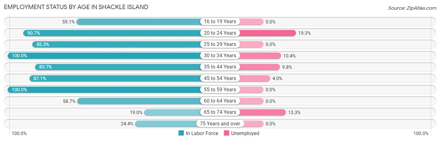 Employment Status by Age in Shackle Island