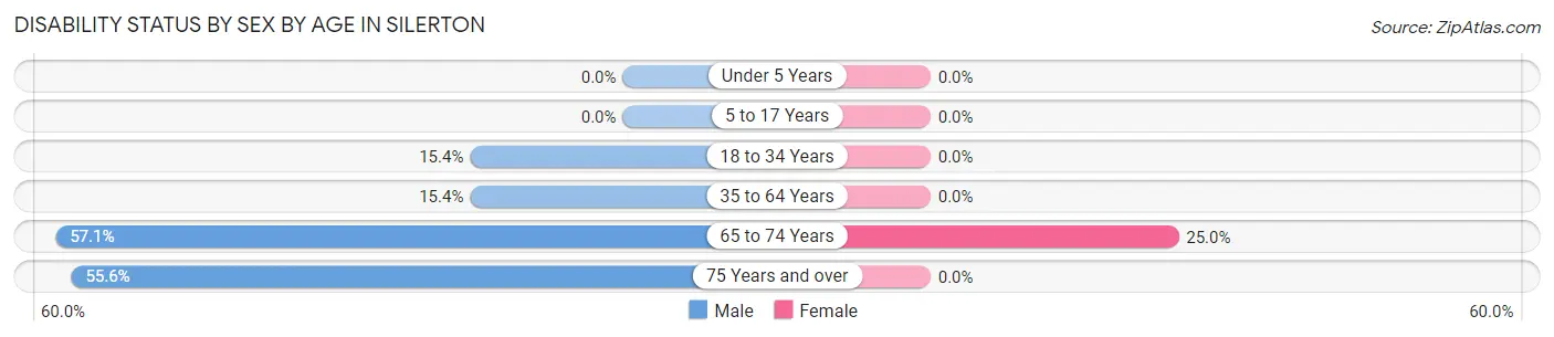 Disability Status by Sex by Age in Silerton