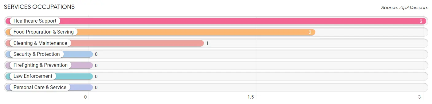 Services Occupations in Silerton