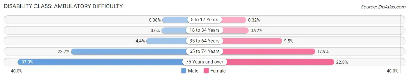 Disability in Smyrna: <span>Ambulatory Difficulty</span>