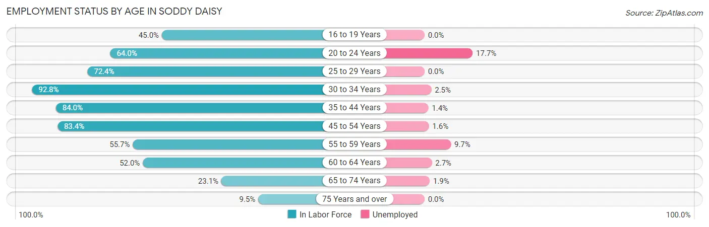 Employment Status by Age in Soddy Daisy