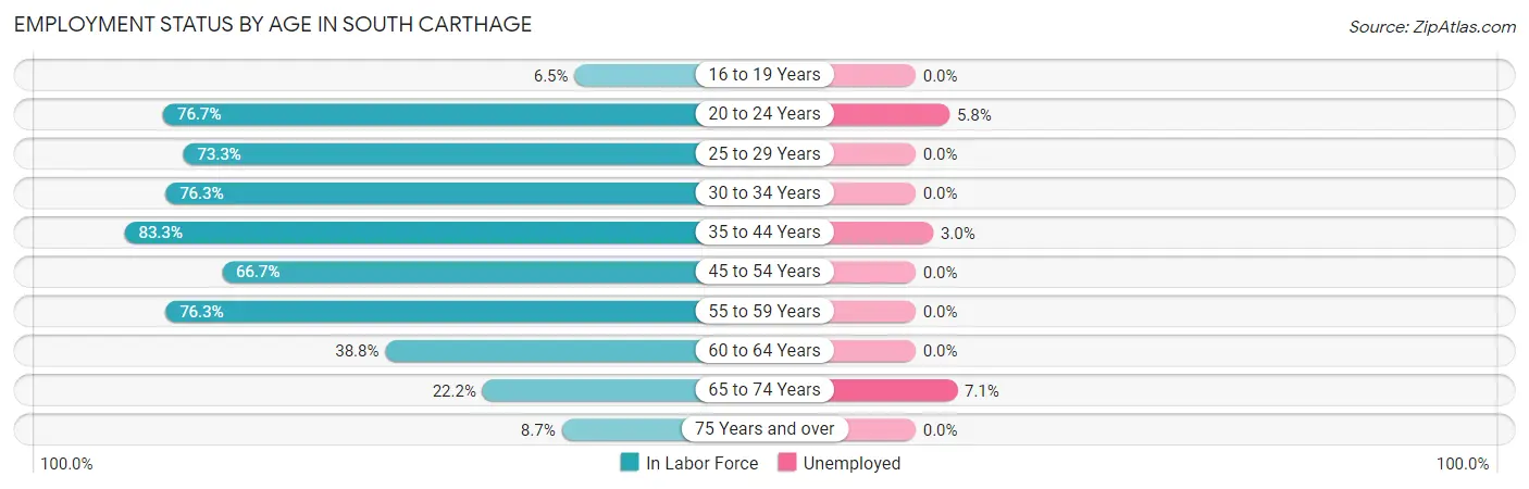 Employment Status by Age in South Carthage