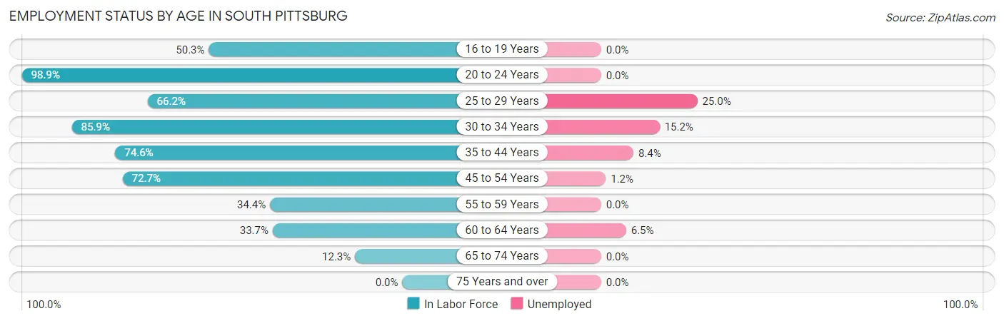 Employment Status by Age in South Pittsburg