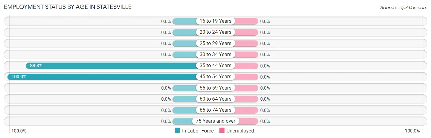 Employment Status by Age in Statesville
