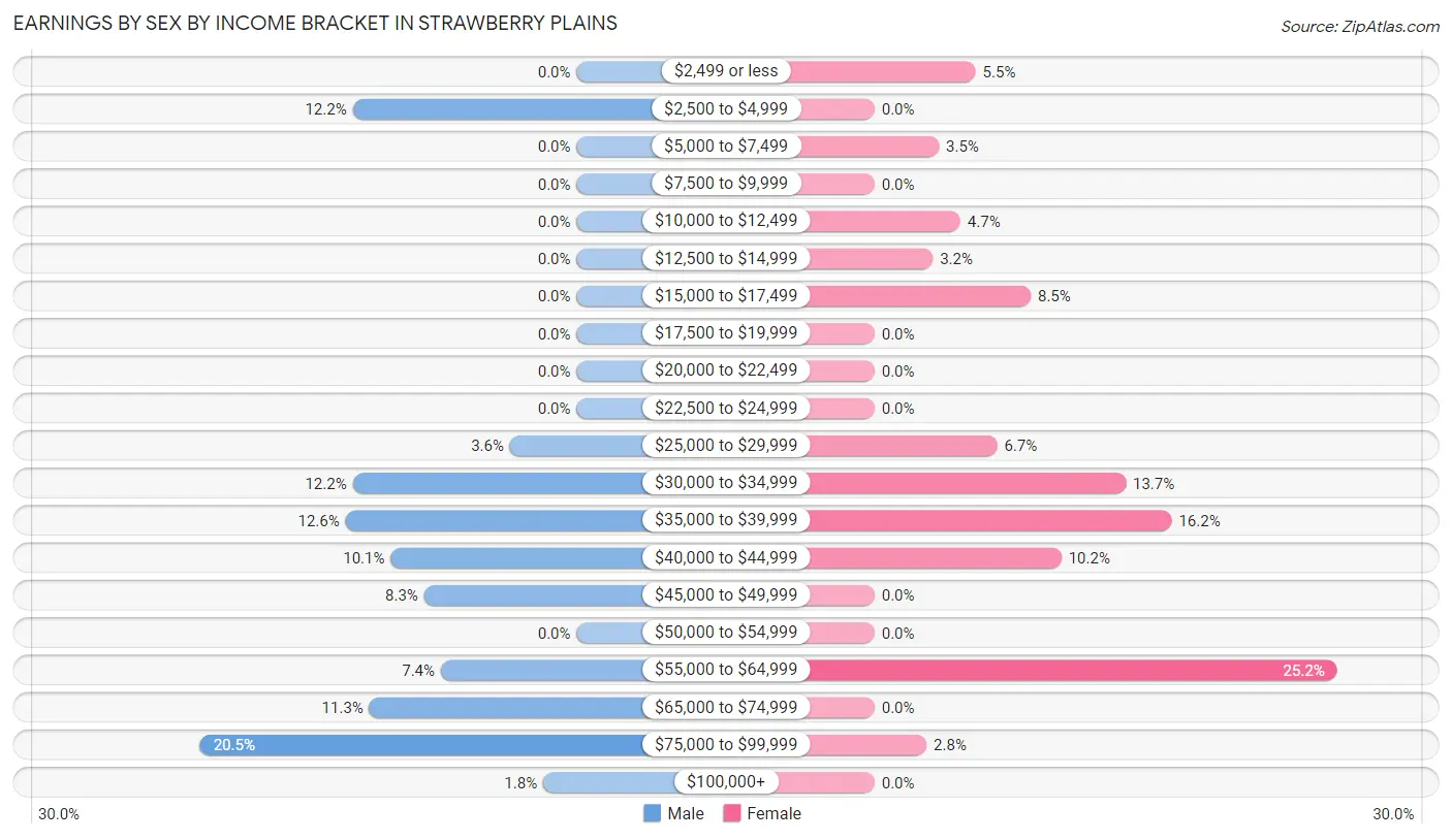 Earnings by Sex by Income Bracket in Strawberry Plains