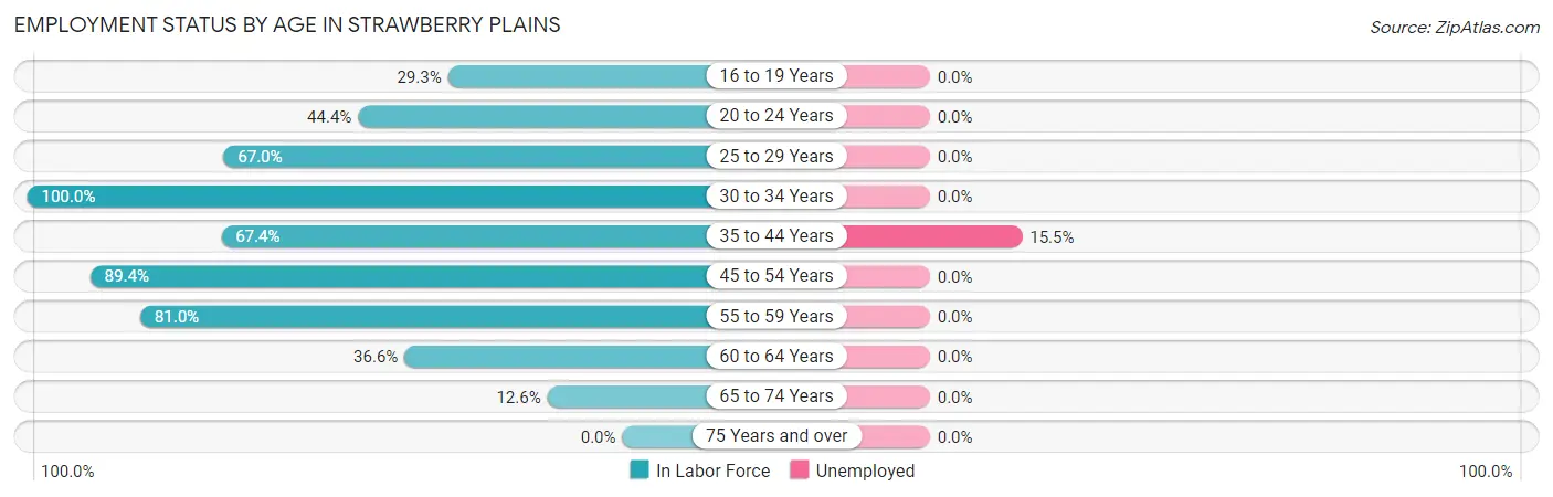 Employment Status by Age in Strawberry Plains