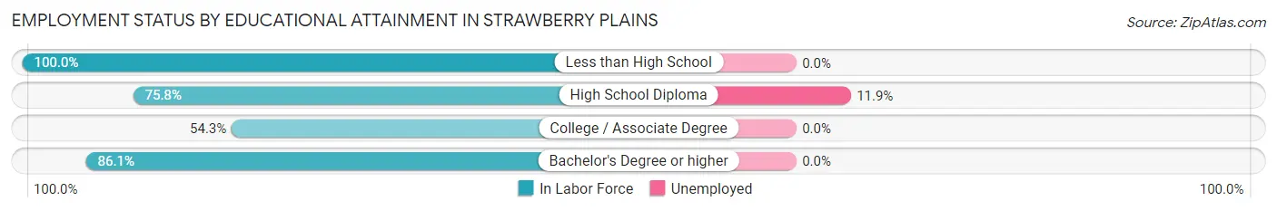 Employment Status by Educational Attainment in Strawberry Plains