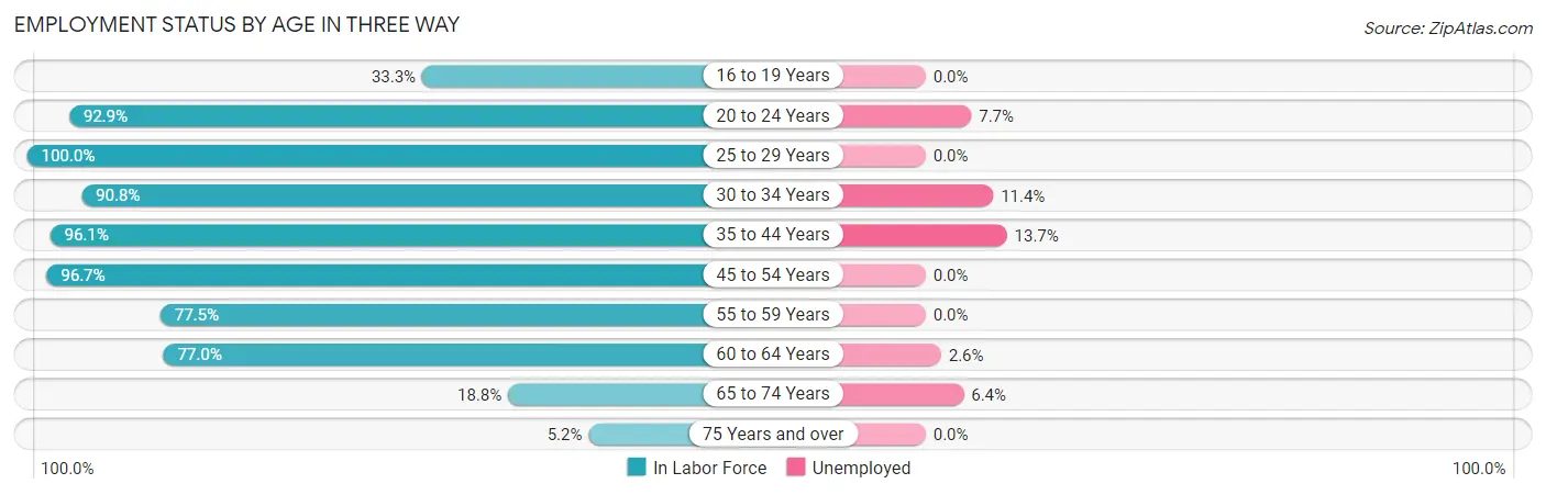 Employment Status by Age in Three Way
