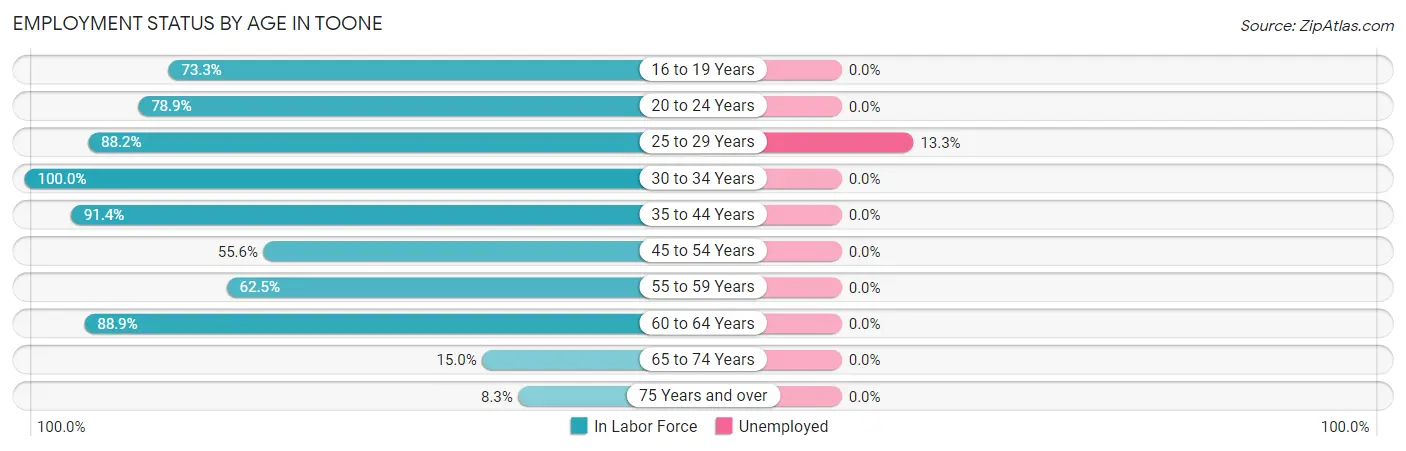 Employment Status by Age in Toone