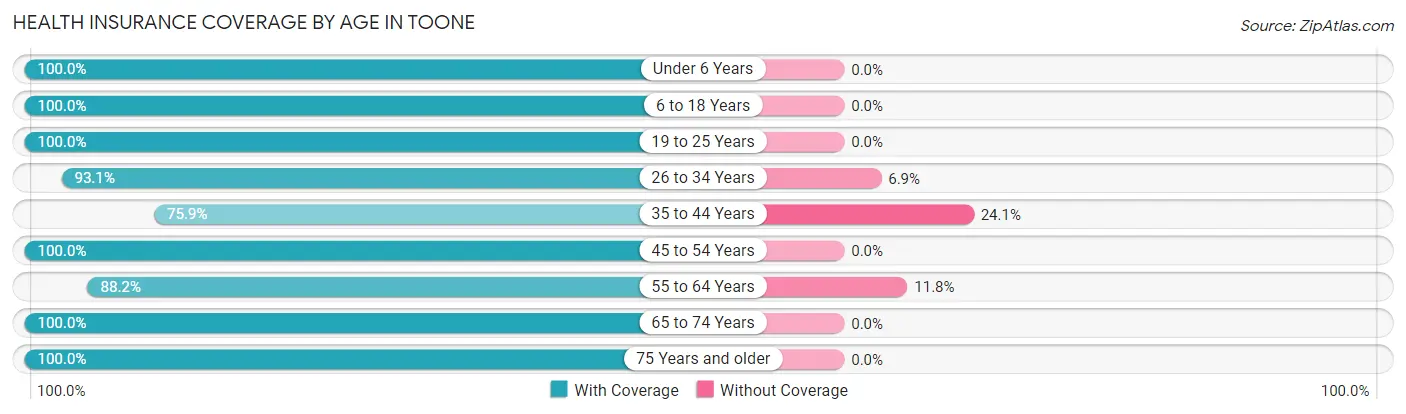 Health Insurance Coverage by Age in Toone