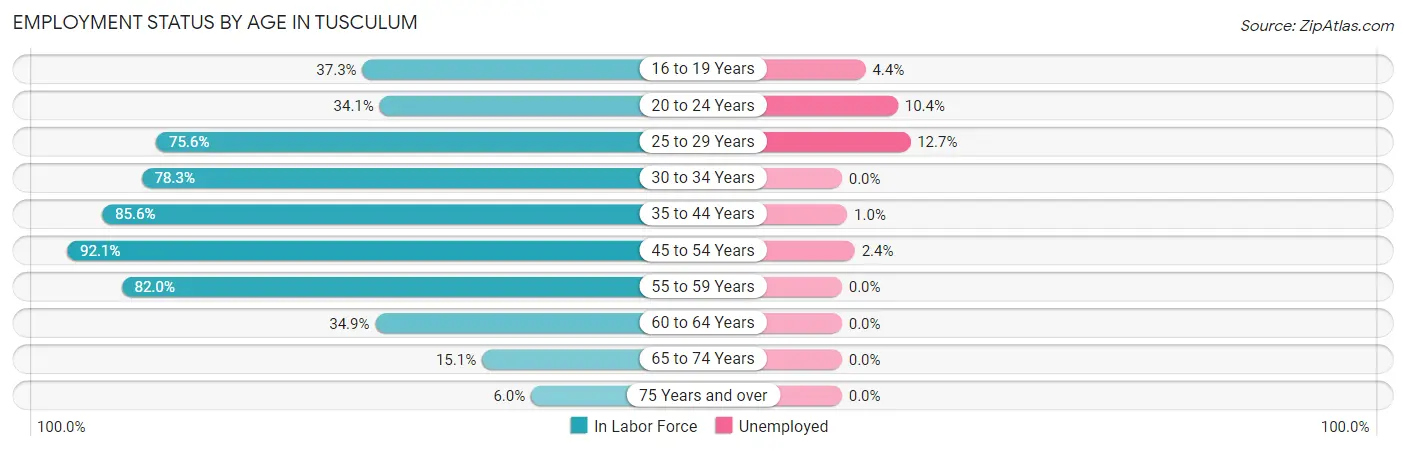 Employment Status by Age in Tusculum