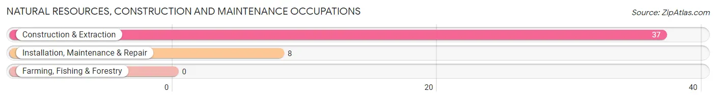 Natural Resources, Construction and Maintenance Occupations in Walden