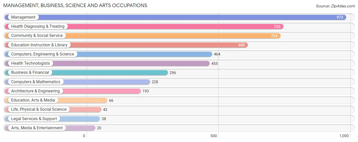 Management, Business, Science and Arts Occupations in White House