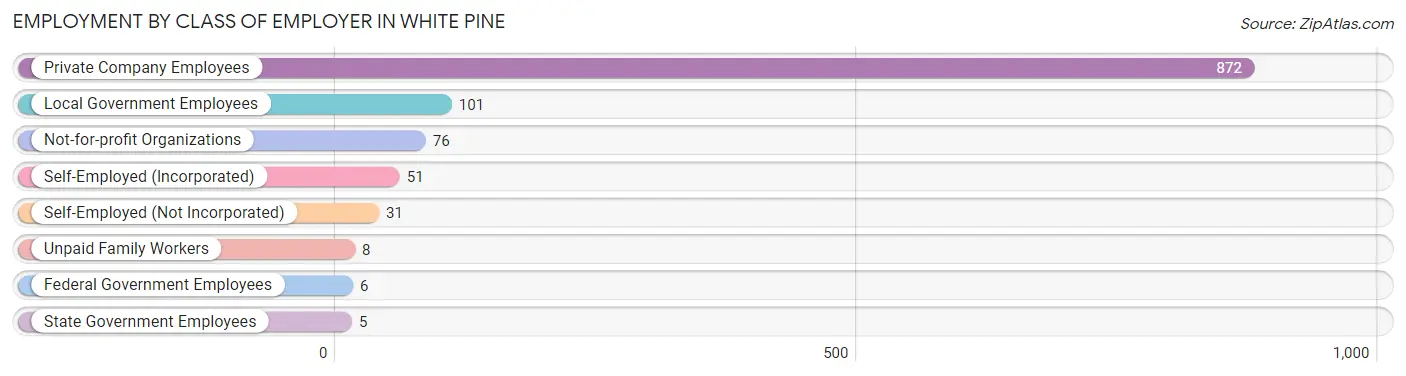 Employment by Class of Employer in White Pine