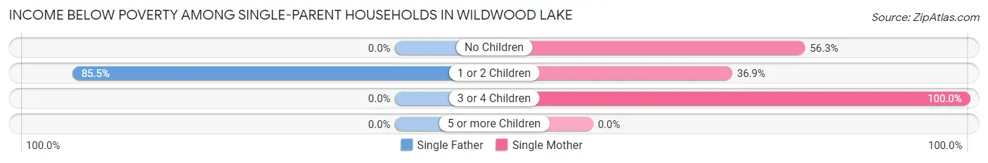 Income Below Poverty Among Single-Parent Households in Wildwood Lake