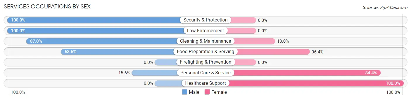 Services Occupations by Sex in Woodbury