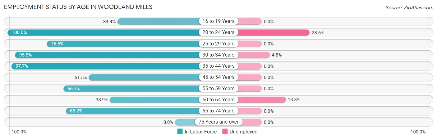Employment Status by Age in Woodland Mills