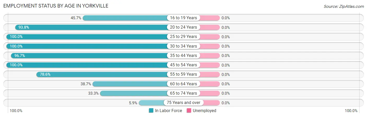 Employment Status by Age in Yorkville