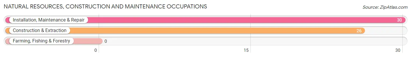 Natural Resources, Construction and Maintenance Occupations in Alamo Heights