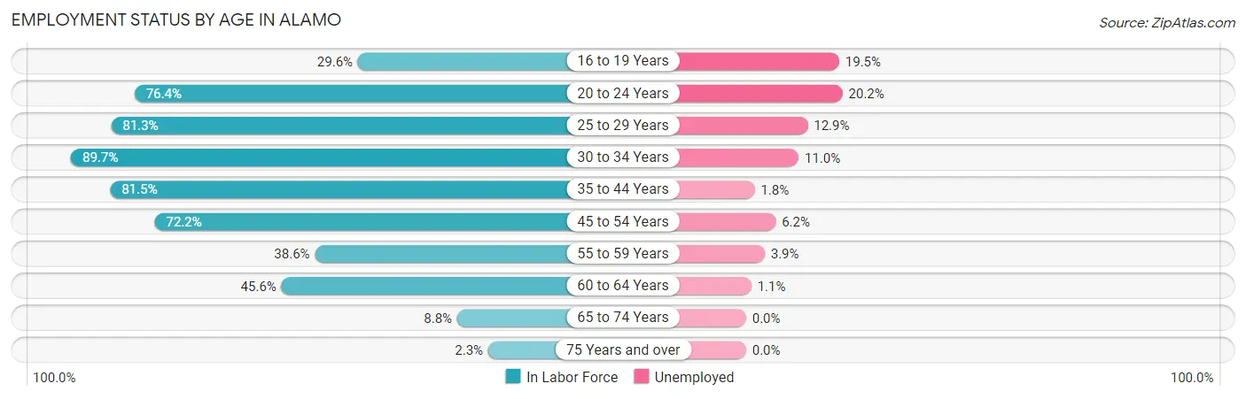 Employment Status by Age in Alamo