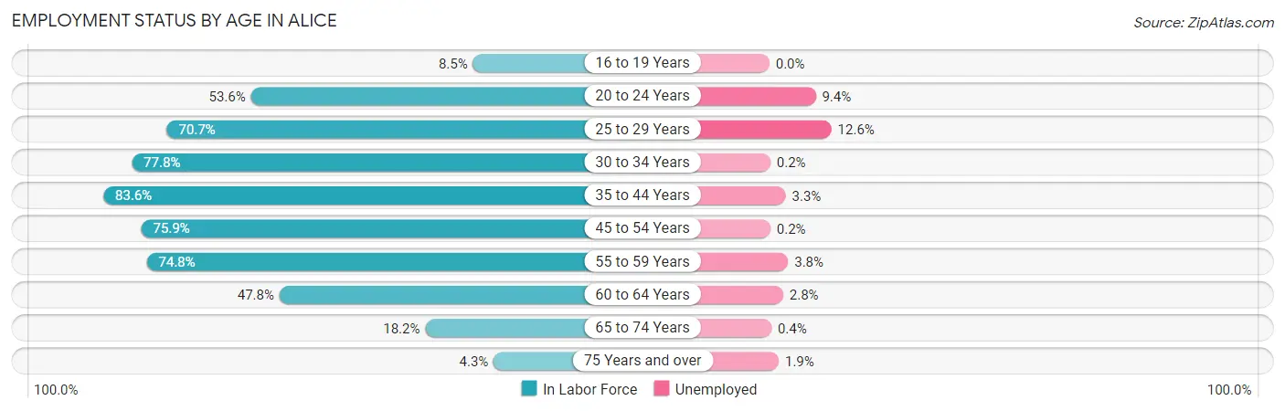 Employment Status by Age in Alice