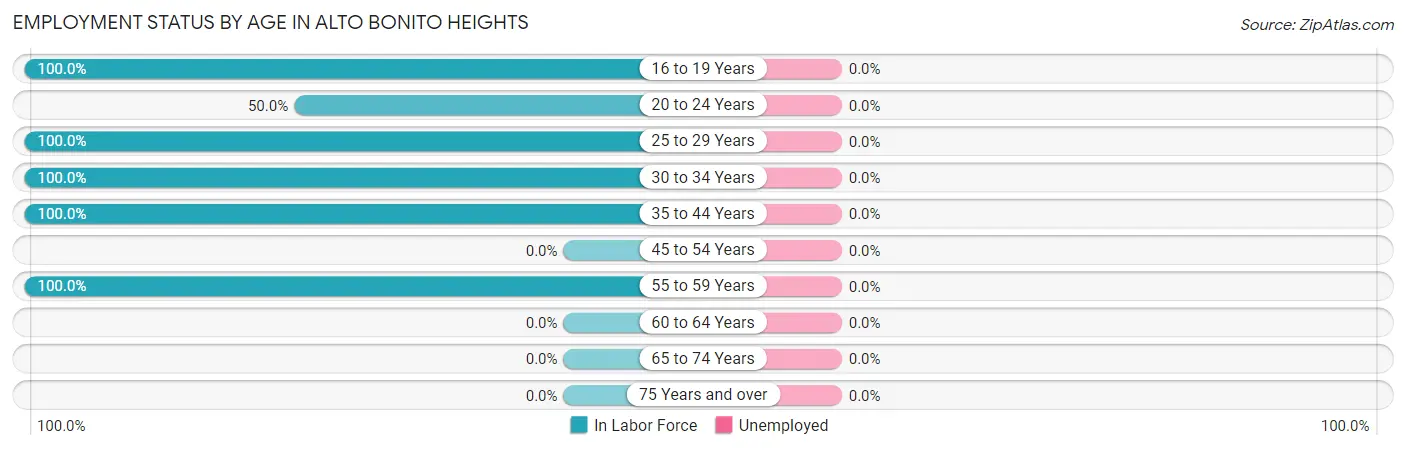 Employment Status by Age in Alto Bonito Heights