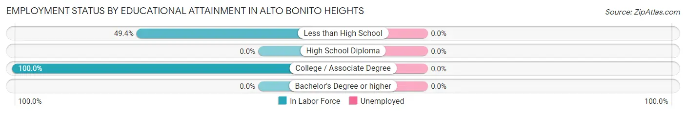 Employment Status by Educational Attainment in Alto Bonito Heights