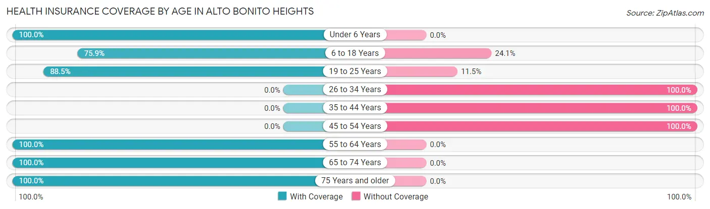 Health Insurance Coverage by Age in Alto Bonito Heights
