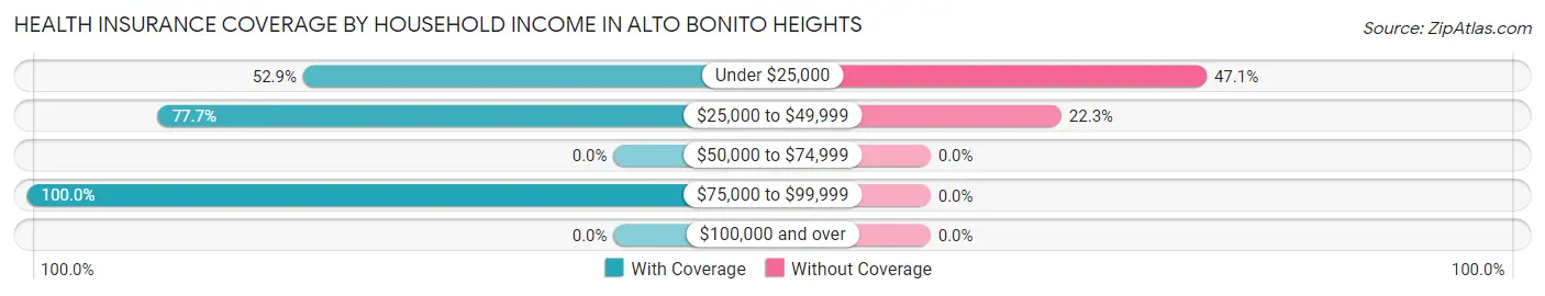 Health Insurance Coverage by Household Income in Alto Bonito Heights
