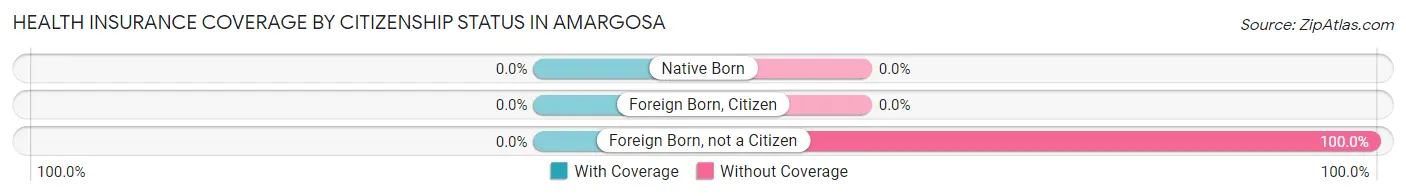 Health Insurance Coverage by Citizenship Status in Amargosa