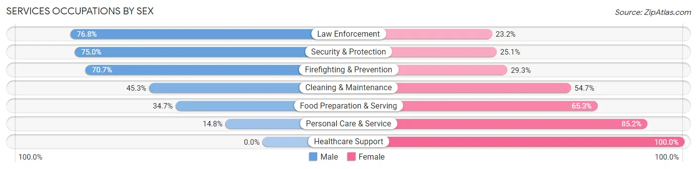 Services Occupations by Sex in Angleton