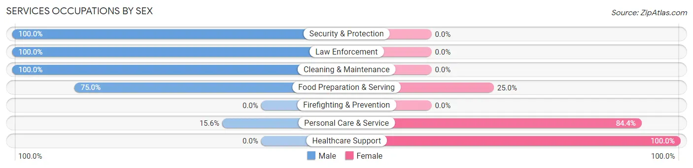 Services Occupations by Sex in Annetta