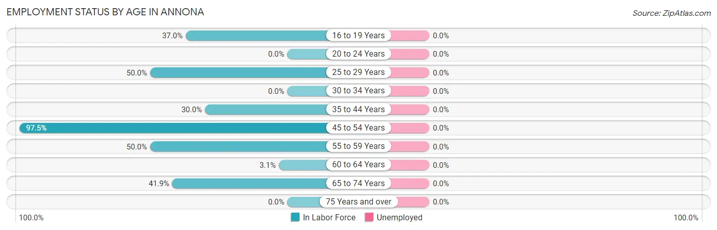 Employment Status by Age in Annona