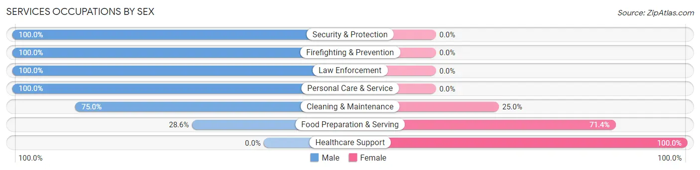 Services Occupations by Sex in Anton