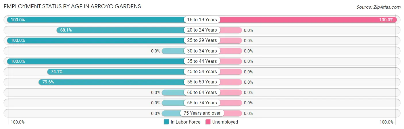 Employment Status by Age in Arroyo Gardens