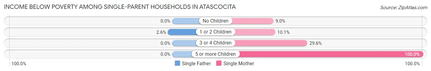 Income Below Poverty Among Single-Parent Households in Atascocita