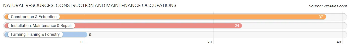 Natural Resources, Construction and Maintenance Occupations in Aurora